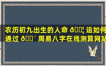 农历初九出生的人命 🐦 运如何通过 🌴 周易八字在线测算网站能准确预测吗